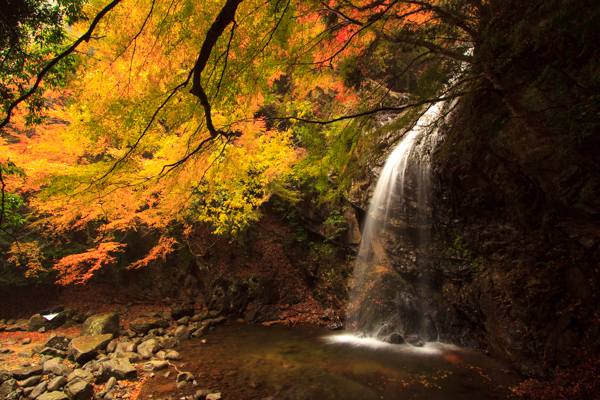 紅葉と滝の写真